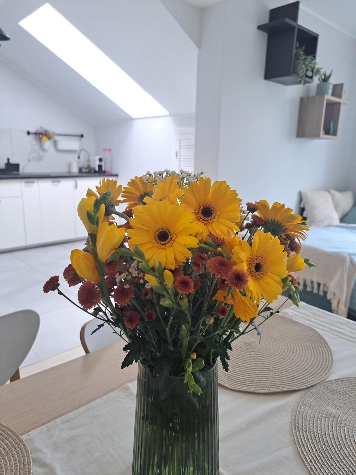 Cosyrest-Odpocznij Przytulnie Daire Wroclaw Dış mekan fotoğraf